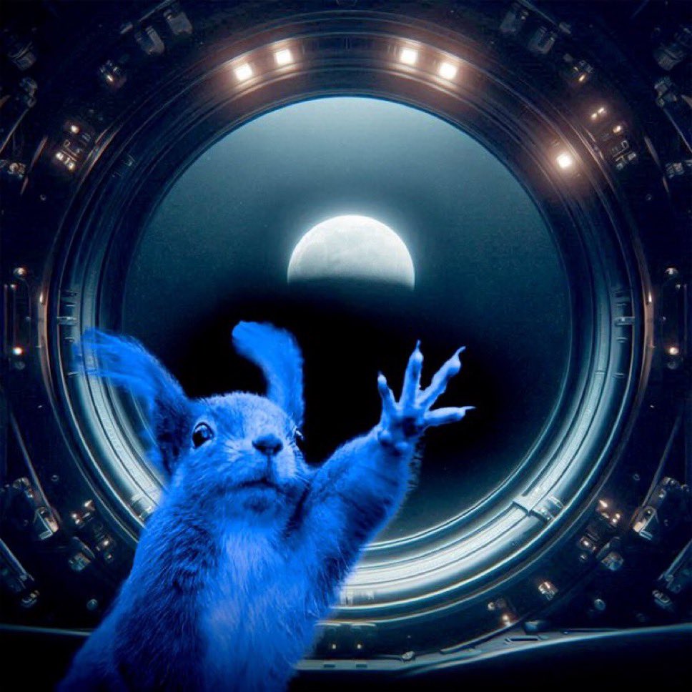 JoonK410's tweet image. $BNUT ON @base is next 🚀🚀🚀
@basedp_nut #BaseChain #Ethereum #Bnut