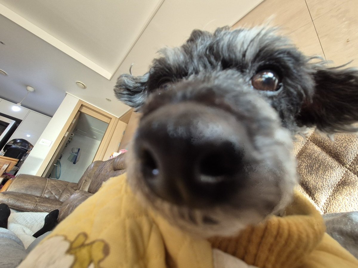 강강지 왕코를 좋아하는 편