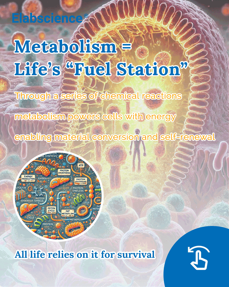 Elabscience Bionovation Inc. tweet media