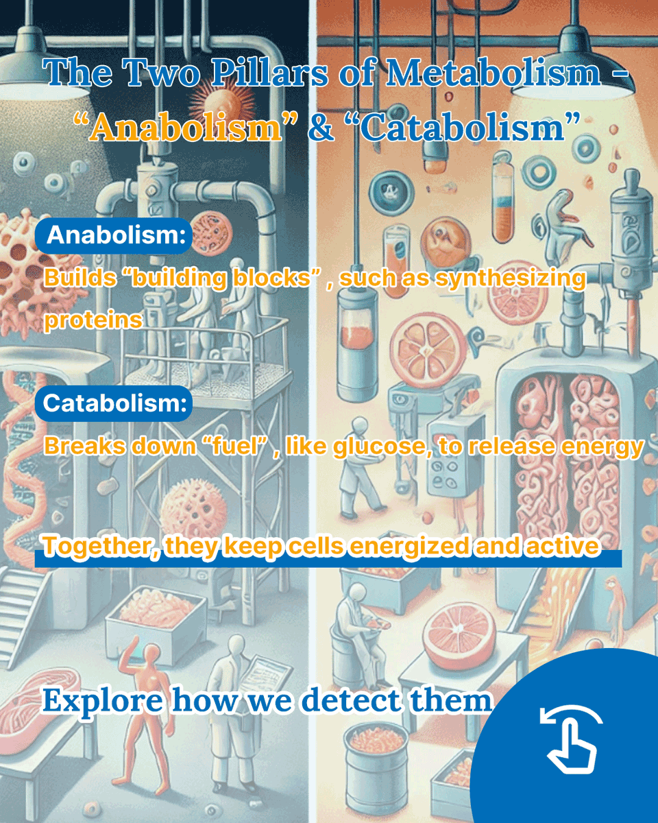 Elabscience Bionovation Inc. tweet media