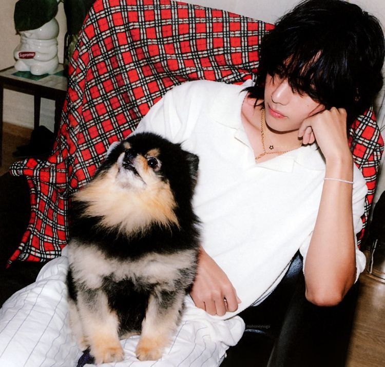 KIM TAEHYUNG HAPPY BIRTHDAY
MIEMBRO DE BTS
EMBAJADOR DE MIL MARCAS GLOBALES , CANTANTE , COMPOSITOR , BAILARÍN,  PRODUCTOR , MODELO , ACTOR
FELIZ CUMPLEAÑOS TE AMO MUCHO AMOR DE MI VIDA, CELEBRO TU VIDA PORQUE UN DIA SALVASTE LA MIA