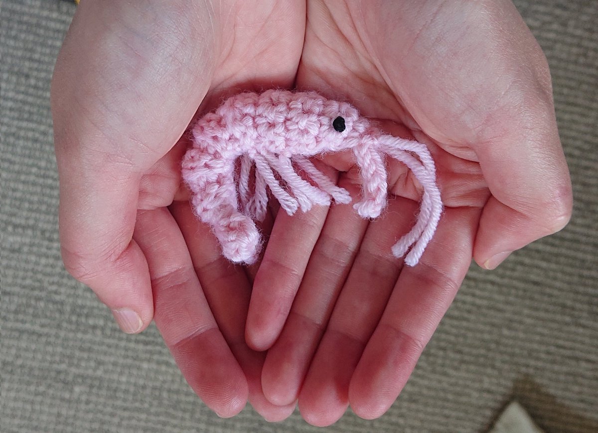it's dangerous to go alone! take this. 🦐

[EMOTIONAL SUPPORT SHRIMP added to inventory]