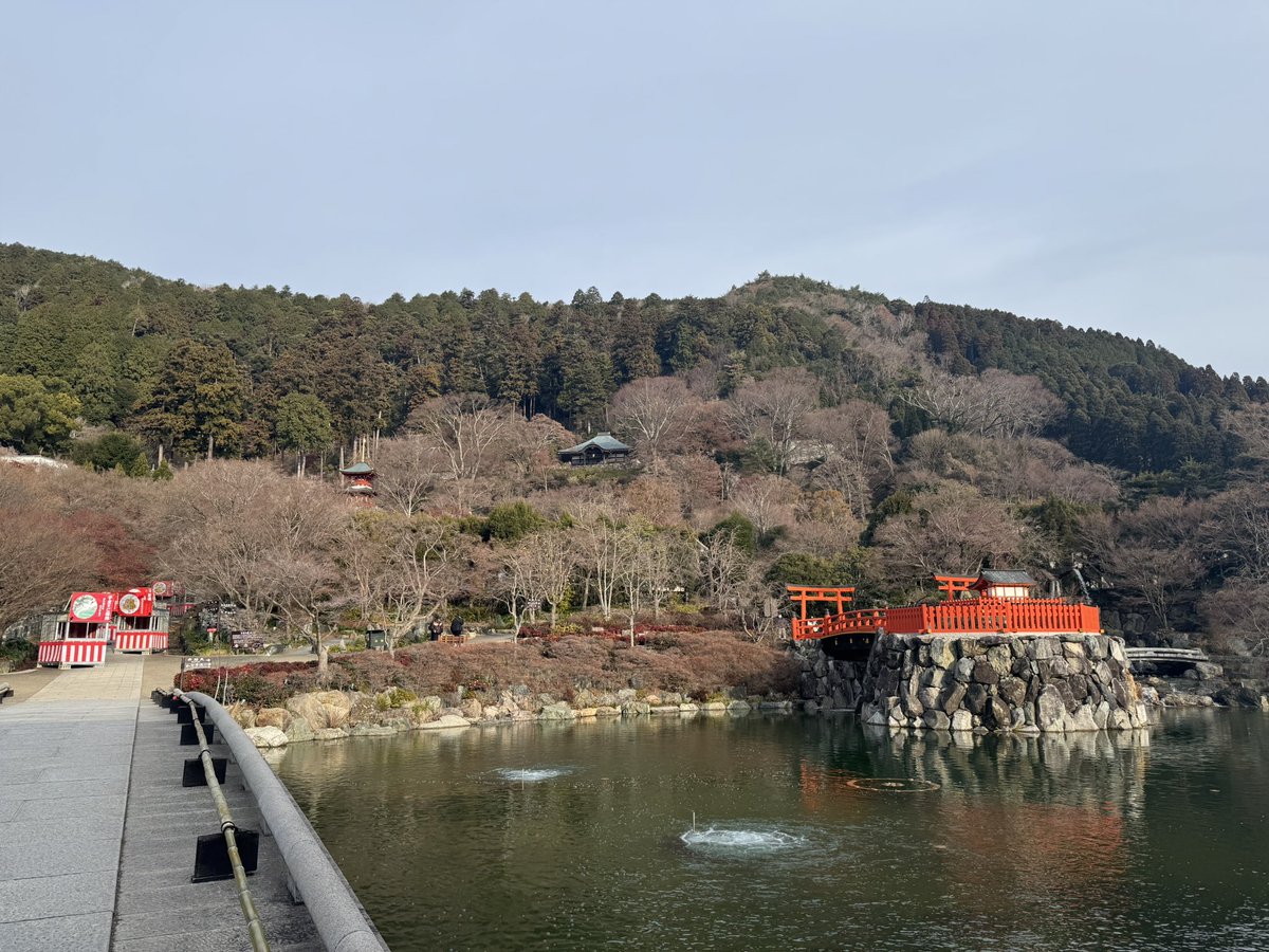職場に顔を出した帰りに勝尾寺へ。
なかなか行けなかったのですが大納会の日にようやくお参りする事ができました。
一昨日お焚き上げしたらしく名物の奉納された勝ちダルマがほとんどありませんでした。
そして我が家にも勝ちダルマ授かりました。
願いが成就するように頑張ります。