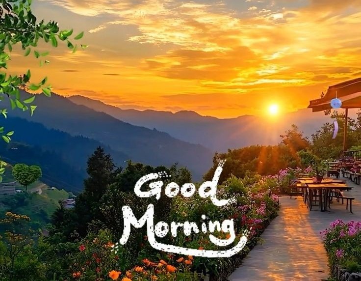 Appreciate what you have and work
towards achieving what you want.

Good Morning x Fam ❤️