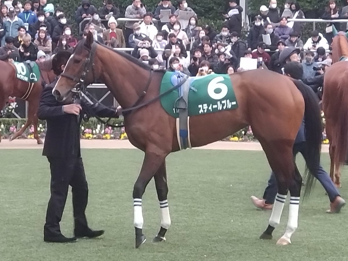 hattshi84's tweet image. この1年間の愛馬の振り返り…
4歳 シエロエスティーボ
(障害未勝利)
3歳 スティールブルー(2勝クラス)
2歳 プロミストジーン(2歳OP)抽優馬
ノビリシマビジョン(1勝クラス)
来年もますますの飛躍に期待😊
#シルクレーシング
#プロミストジーン
#スティールブルー
#ノビリシマビジョン