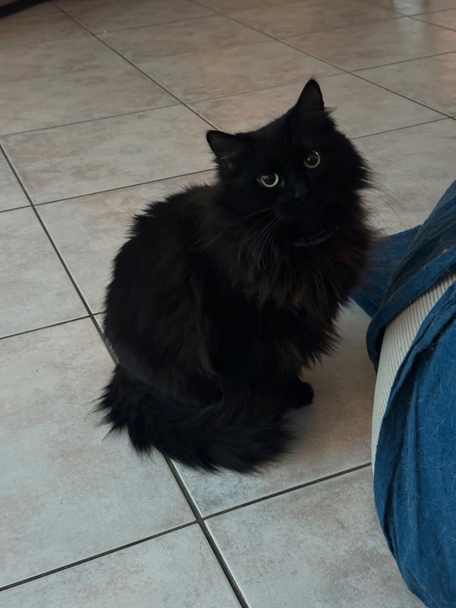 Mynthos's tweet image. Hop.