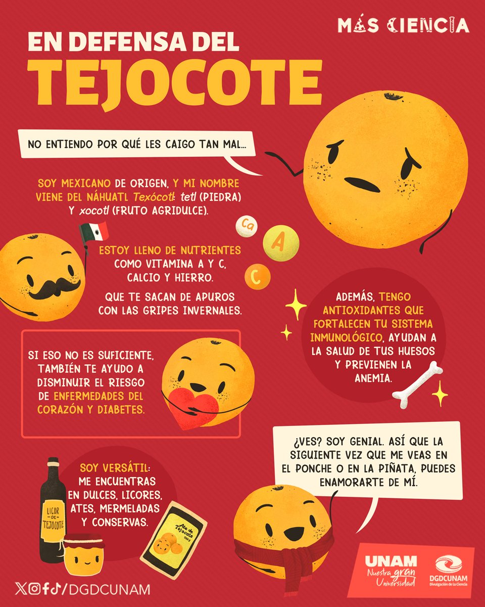 UNAM_FCPyS's tweet photo. Hay frutas chidas, y el tejocote...
Claro que también hay frutas incomprendidas, y el tejocote... 😔

Duda real, ¿por qué no gusta si es tan cool?
|| @DGDCUNAM #MásCiencia #DGDCUNAM #UNAM https://t.co/UYcb53VZmK
