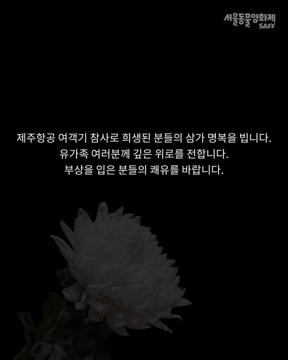 제주항공 여객기 참사로 희생된 분들의 삼가 명복을 빕니다.
유가족 여러분께 깊은 위로를 전합니다.
부상을 입은 분들의 쾌유를 바랍니다.

#제주항공여객기참사