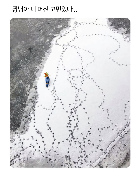 하이알테마긔테리쟈 (@ff14_pp2) on Twitter photo 