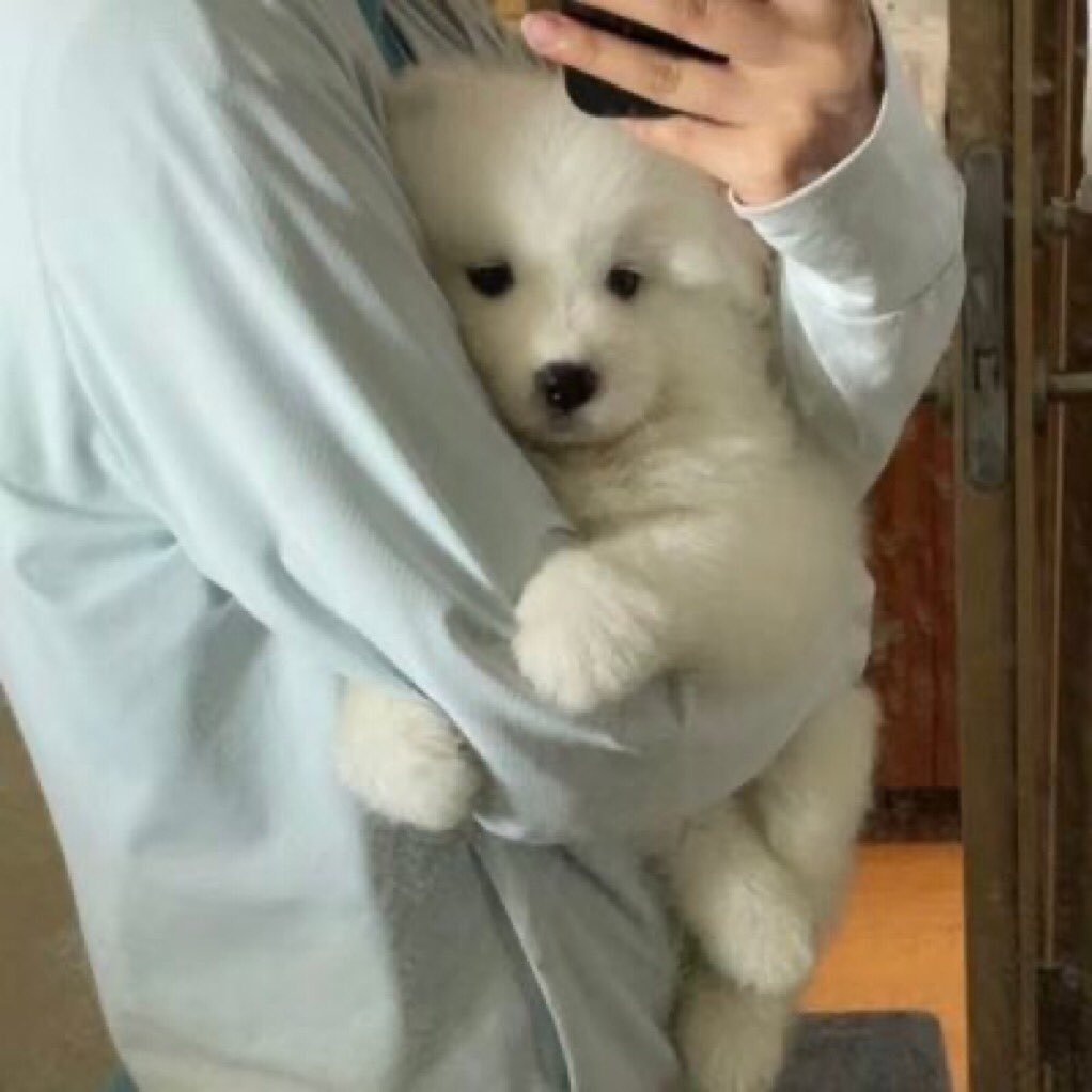 takemybear's tweet photo. ไอพวกลูกแหง่ติดแม่ https://t.co/bifR6UF8FB