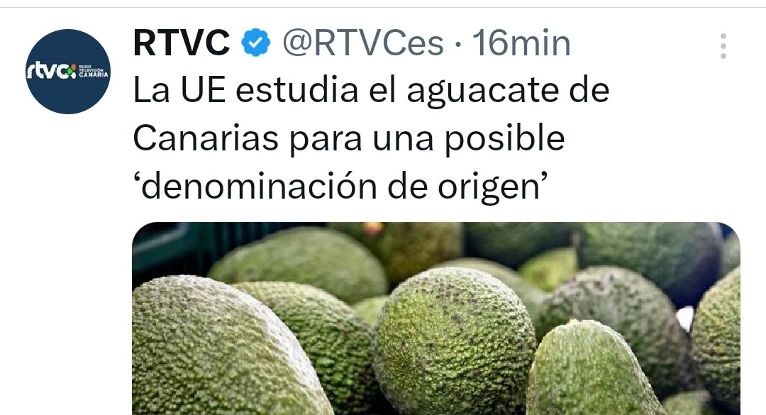 ElCanarioOptimi's tweet photo. Ahora sí que no vamos a ver aguacate barato en nuestras putas vidas https://t.co/XCujikNOWv