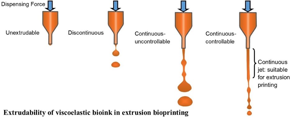 🌟 New #Research: Extrusion #bioprinting from a fluid #mechanics perspective
👥 By Xiongbiao Chen et al.
✨ Read #article here: accscience.com/journal/IJB/10…