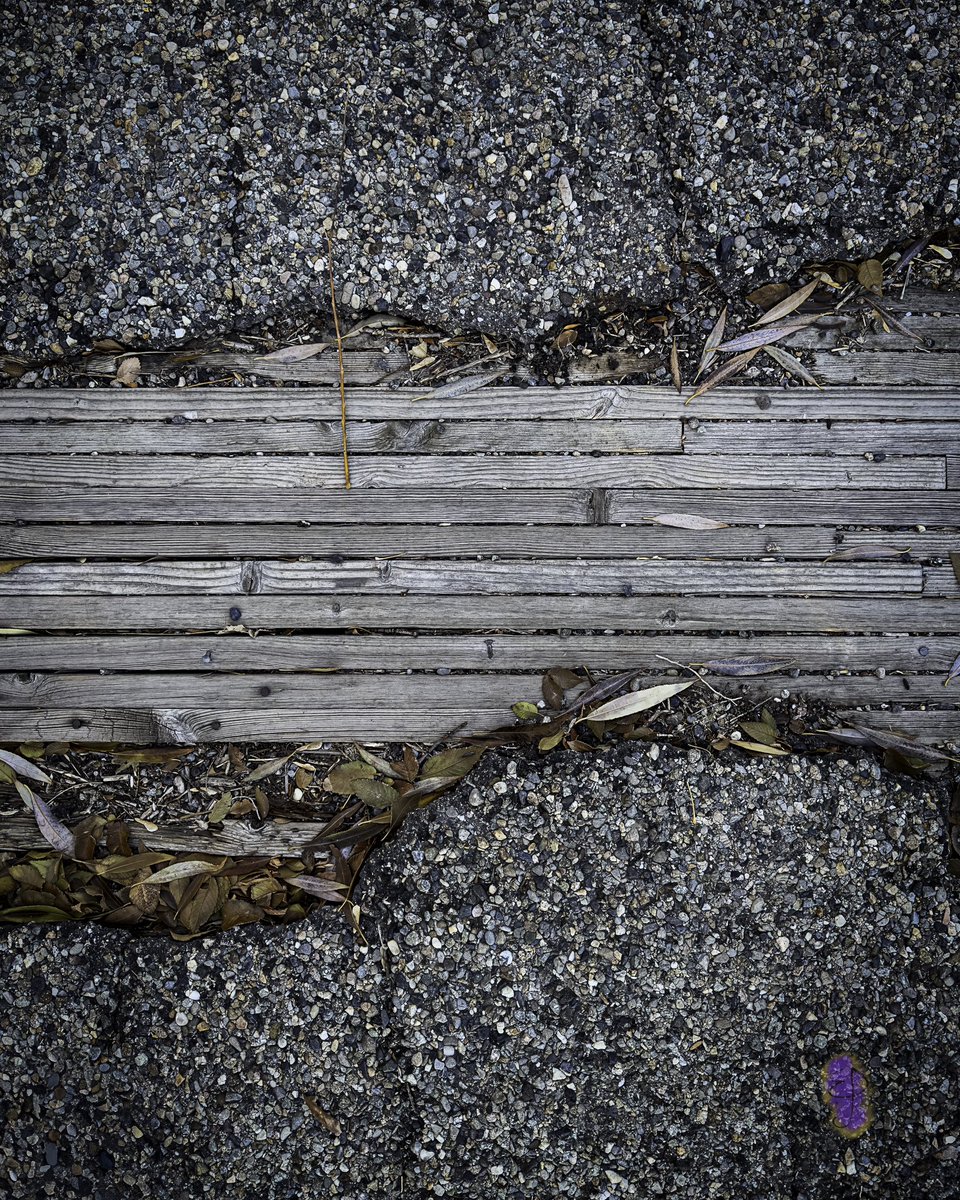 BoundlessDigi's tweet image. “Deterioration”

Taken on the oldest bridge in Shoshone, Idaho. Fun fact, the county offered it to my grandfather for the scrap metal if he removed it. Given that it’s still in place, I think the offer was not accepted 😂