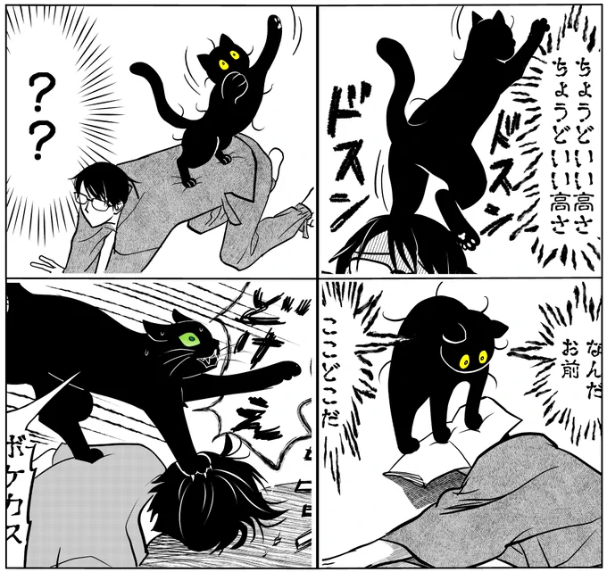 #2024年を振り返る
色んな角度から踏まれてる

https://t.co/4Igcdpy0JS 