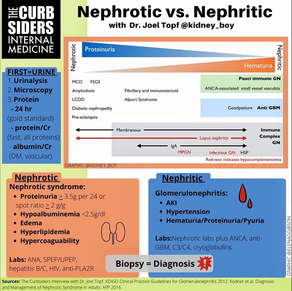 👌Nephrotic 🆚 Nephritic syndrome

By <a href="/thecurbsiders/">The Curbsiders</a>