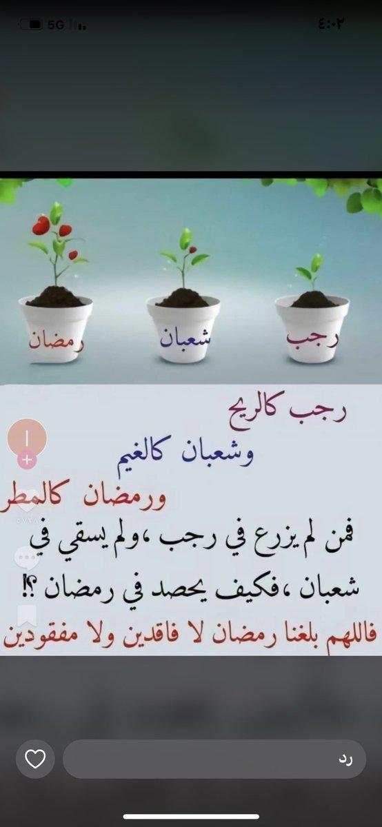 راقية باخلاقي tweet media