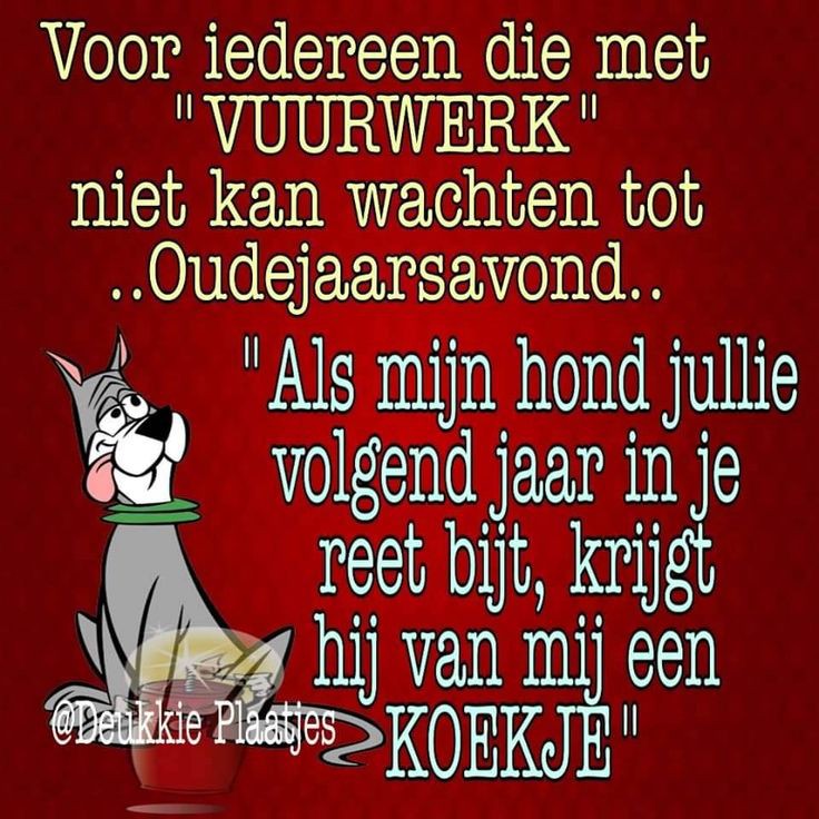 Rdamvanalles010's tweet photo. Dus dit, hou rekening met huisdieren, 🐕🐈🐾
#oudejaarsavond #nieuwjaar #vuurwerk #huisdieren #hond #kat #poes enz.... https://t.co/kfjsXRZwwy