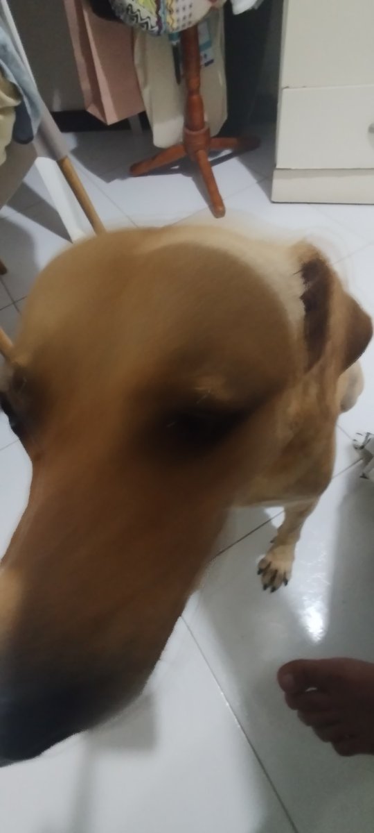 mel