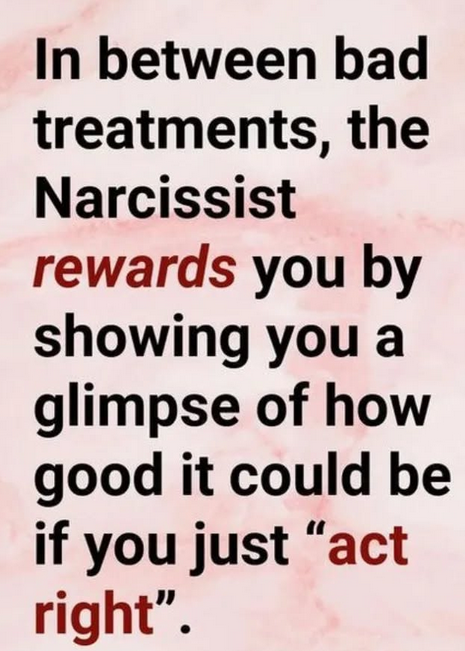 NarcissistBox's tweet photo. https://t.co/xlKdt4LEw4