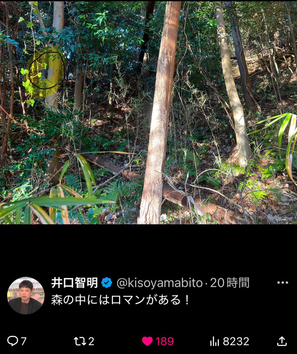 谷本吉紹｜エースタイルGroup tweet media