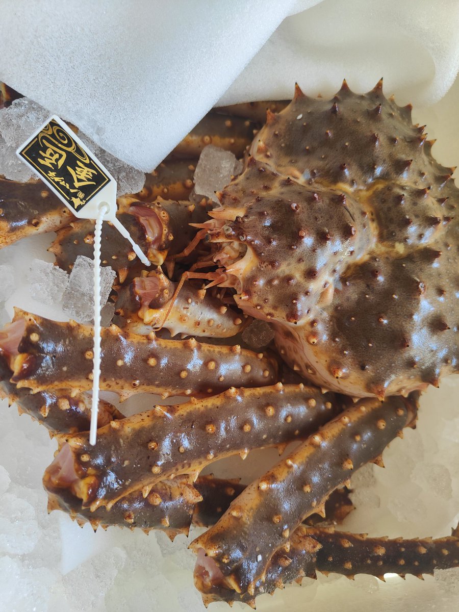 最近のサワガニはタグついてるんだね(о´∀`о)