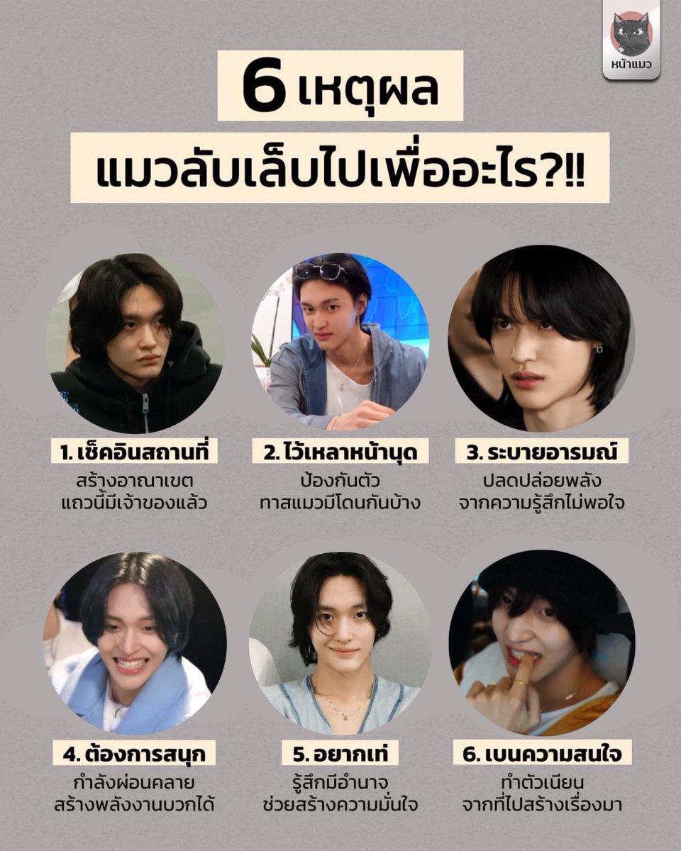 yayee94's tweet image. คู่มือการเลี้ยงพิ้บี๋ 101 นะเมี๊ยวววว 🐈‍⬛✨