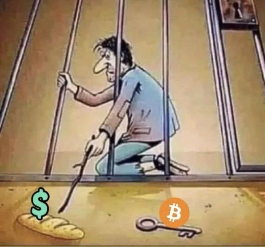 Crypto Patel (@cryptopatel) on Twitter photo "If you keep them busy with basic needs they will forget about the freedom they lost"
Never forget the above quote 
"Be Wise, Trade Wisely, Invest Wisely."
#crypto #btc #bitcoin "If you keep them busy with basic needs they will forget about the freedom they lost"
Never forget the above quote 
"Be Wise, Trade Wisely, Invest Wisely."
#crypto #btc #bitcoin