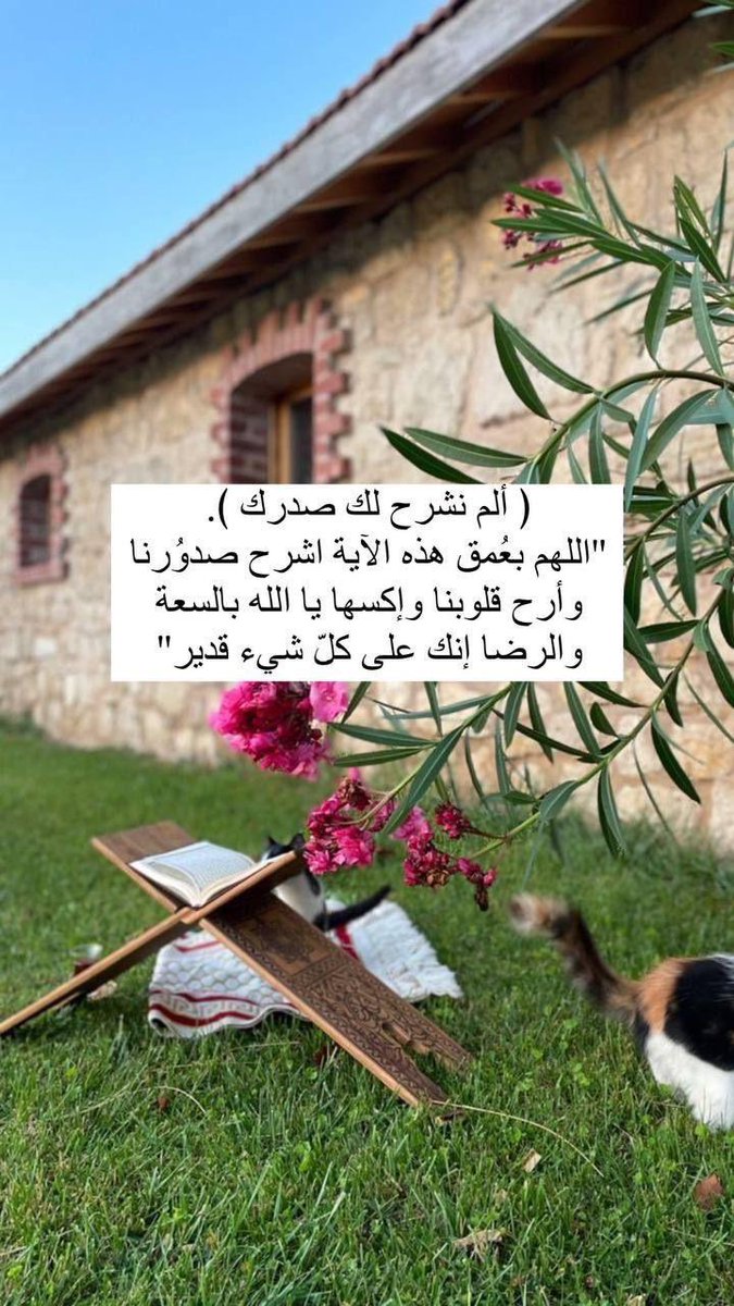 تــــــدبـــــر 🕊️

اللهم إني أسألك العافية في الدنيا والآخرة، اللهم إني أسألك العفو والعافية في ديني ودنياي وأهلي ومالي، اللهم استر عوراتي وآمن روعاتي، اللهم احفظني من بين يديَّ ومن خلفي وعن يميني وعن شمالي ومن فوقي وأعوذ بعظمتك أن أغتال من تحتي.🤍🌿