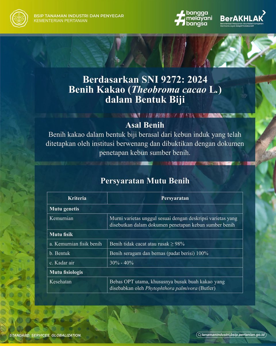 brmptri's tweet image. Hi, #frenSIP
Coklat yang kita konsumsi harus berasal dari kakao yang terstandar untuk memberikan kualitas terbaik.

Yuk kita simak, benih kakao seperti apa sih yang sesuai dengan standar berdasarkan SNI 9272: 2024 yang telah terbit!