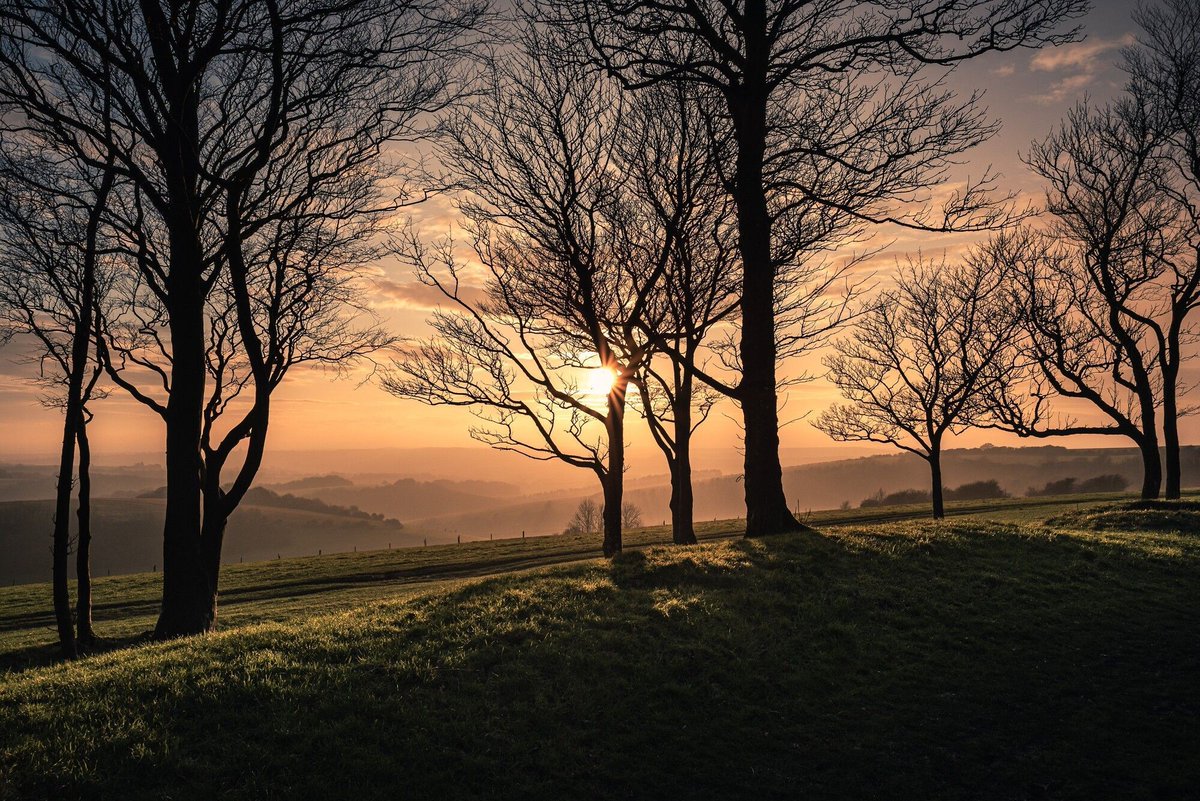 South Downs National Park (@sdnpa) on Twitter photo The South Downs has been a place of worship for centuries.
Pick a day to head to Chanctonbury Ring.
Whilst likely an Iron Age hillfort, a Roman temple has been discovered on the site and superstitions still abound about witches and the Devil.
📷 <a href="/brighton_photo/">Michael Steven Harris Photography</a>
#SouthDowns The South Downs has been a place of worship for centuries.
Pick a day to head to Chanctonbury Ring.
Whilst likely an Iron Age hillfort, a Roman temple has been discovered on the site and superstitions still abound about witches and the Devil.
📷 <a href="/brighton_photo/">Michael Steven Harris Photography</a>
#SouthDowns