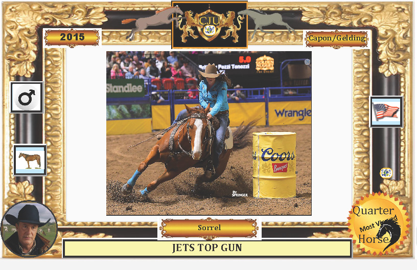 ganaderias's tweet photo. JETS TOP GUN ♘ 2015 ♞  ✺ © Sorrel ✺USA ✺ &amp;Cuarto de Milla ♂#España 🇪🇸★. ver  🛢️🛢️🛢️🏇#QUARTERHORSES  ver Link> https://t.co/ho6V2ZIl1u Mensaje dirigido a: #GIBRALTAR🇵🇱 https://t.co/57zRBp3N5n