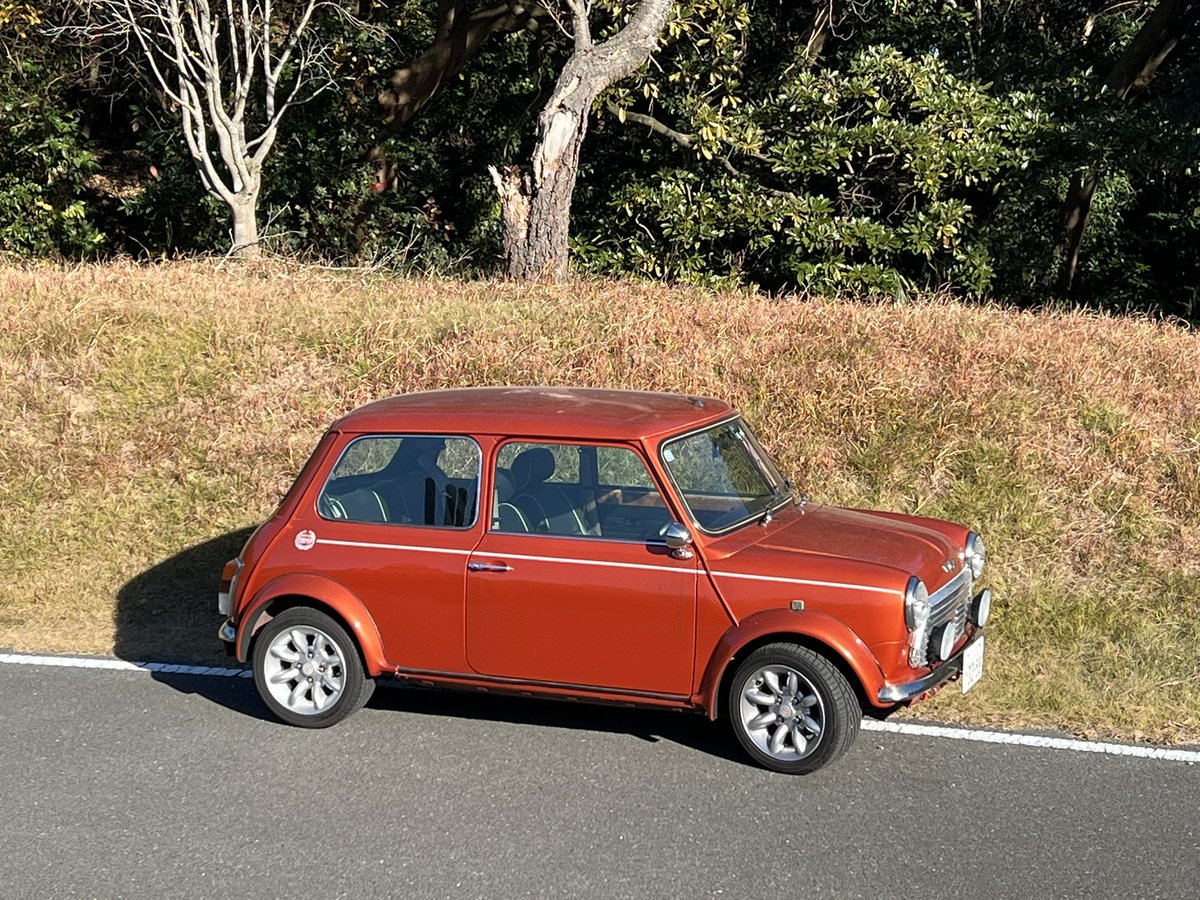 cresc1973's tweet photo. 定点観測。帰省中。

#mini #rovermini #classicmini #minicooper #sportspack #ミニ #ローバーミニ #クラシックミニ #ミニクーパー #ローバーミニのある生活 #スポーツパック #ボルケイノオレンジ https://t.co/X9Ln4xc0ea