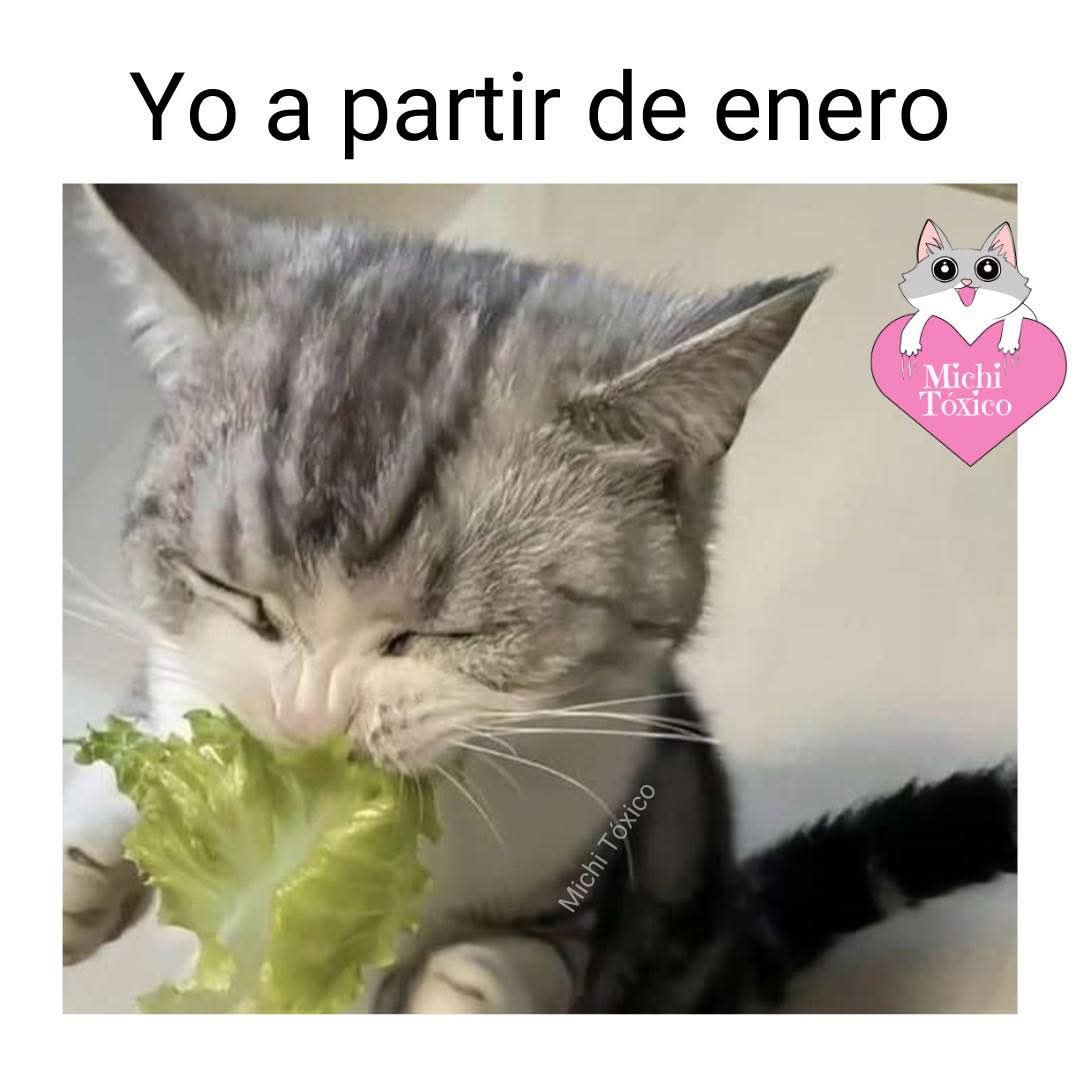 😅
