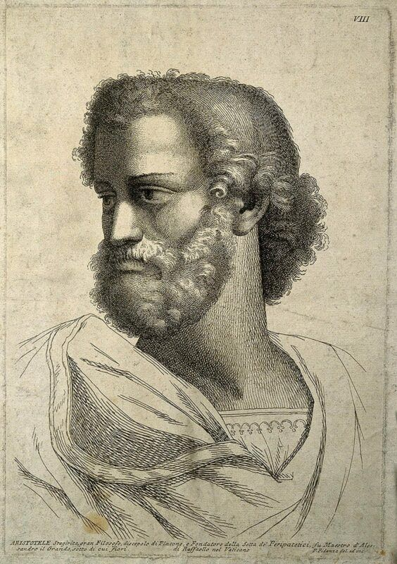 "Excellence is never an accident. It is always a result of high intention, sincere effort , and intelligent execution; it represents the wise choice of many alternatives - choice, not chance, determines your destiny."

   — Aristotle