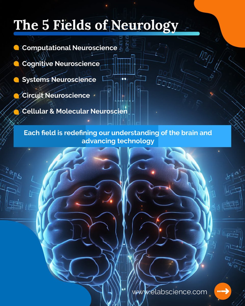 Elabscience Bionovation Inc. tweet media