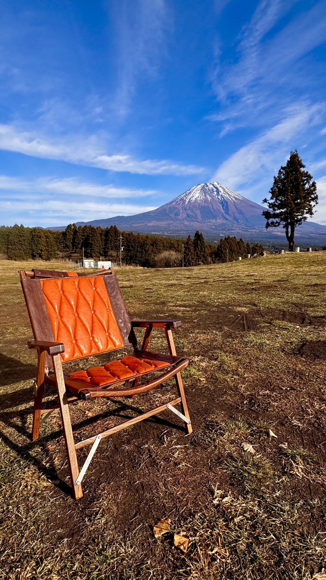 最高nice - Search / X