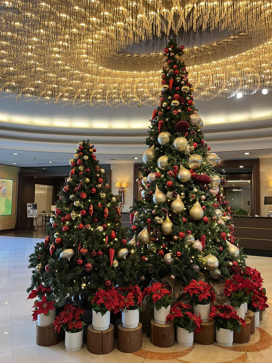 橋本しん(Sin) tweet media