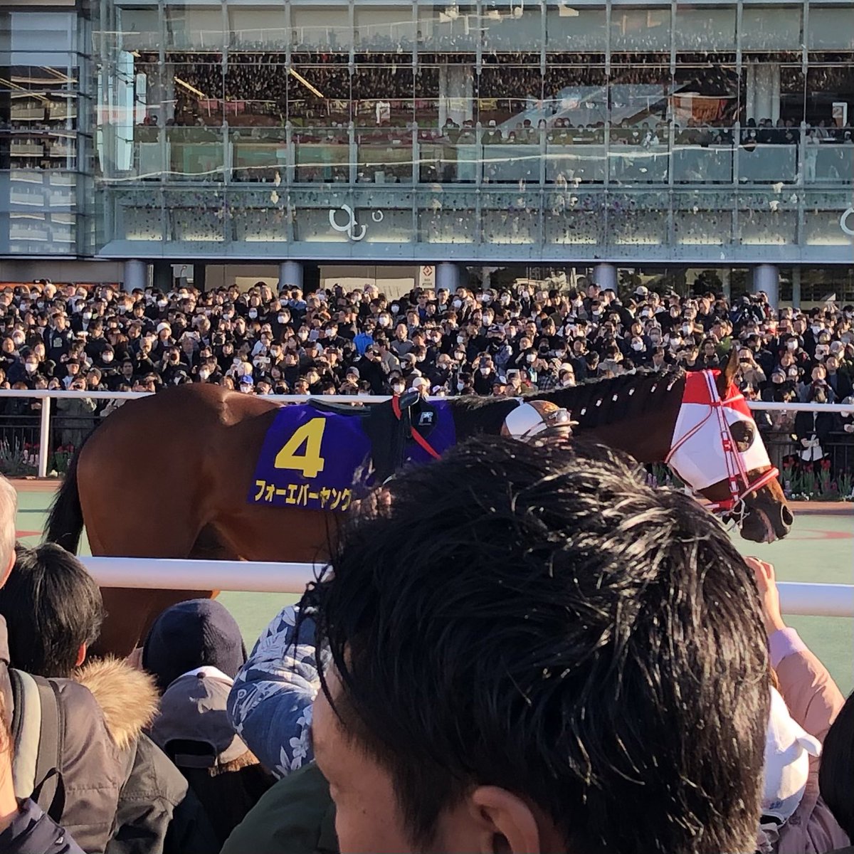 96numayu's tweet photo. 昨日の東京大賞典2024。みんな激戦連戦の疲れがある中ですごいレース。ウシュバテソーロは去年なら差していたと思うが、アメリカで鎧がハミに絡まった事故のトラウマ解消のためにあの深いブリンカーなのか？ https://t.co/aJdfC29Bxu