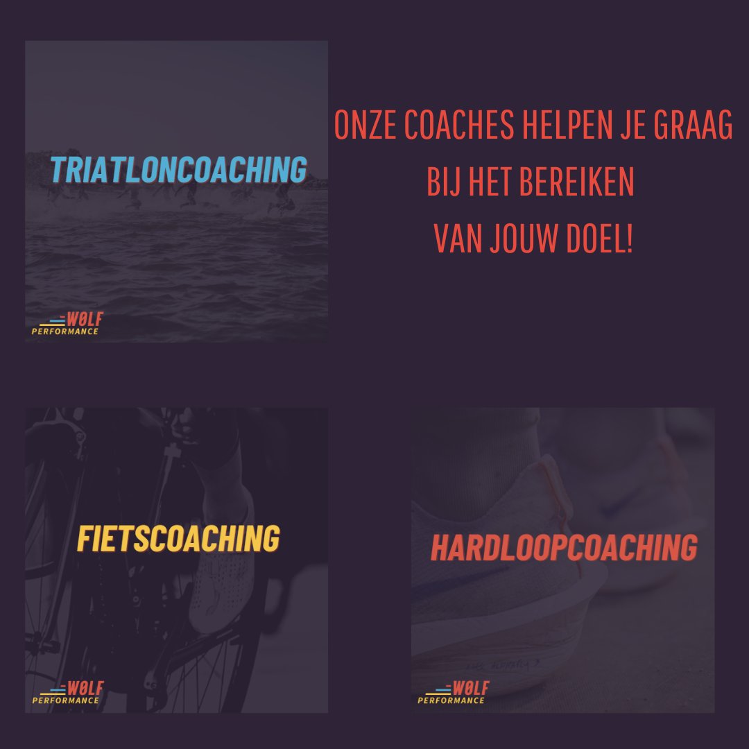2025 staat voor de deur.
Ben jij nog opzoek naar een goed voornemen?
Onze coaches staan klaar om samen met jou van 2025 een jaar vol successen te maken. 
Vanaf je eerste 10 km lopen tot het voltooien van je eerste volledige triatlon.
Maak nu je afspraak!
wolfperformance.be/boek-een-afspr…