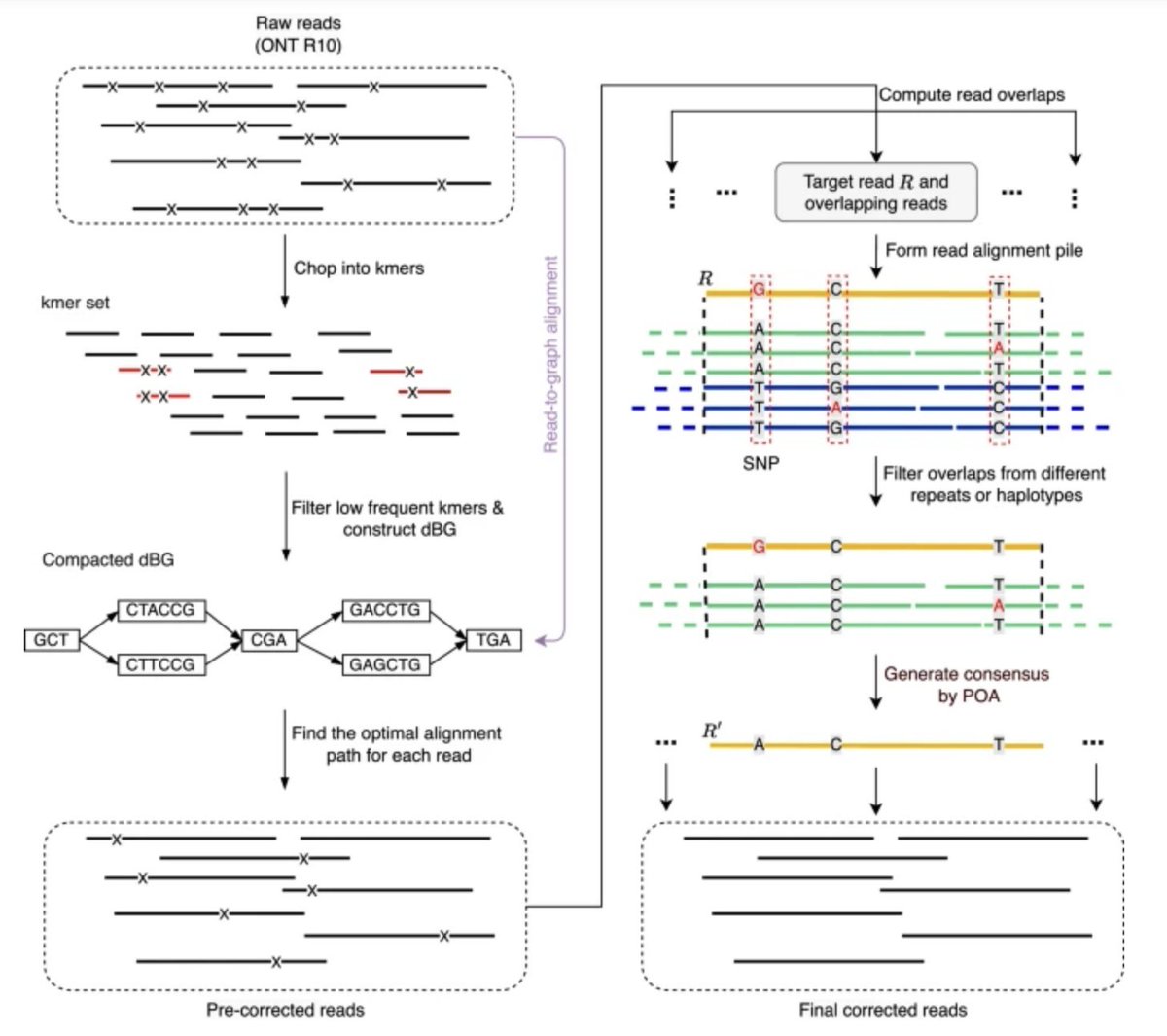 a novel tool! Repeat and haplotype aware error correction in nanopore sequencing reads with DeChat. #nanopore #haplotype
doi.org/10.1038/s42003…