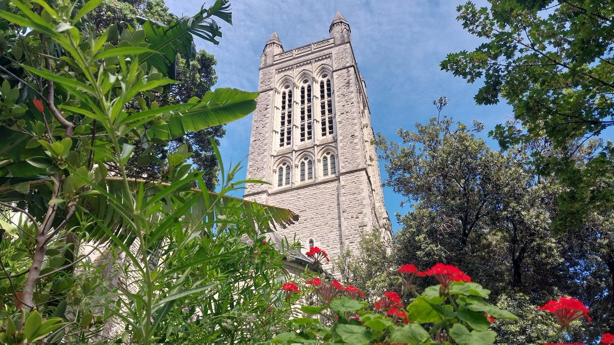 St Matthew's Society of Bellringers tweet media