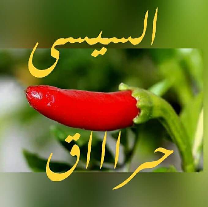 كسمك على كسم جماعتك يا معرصين موتوا بغيظكم