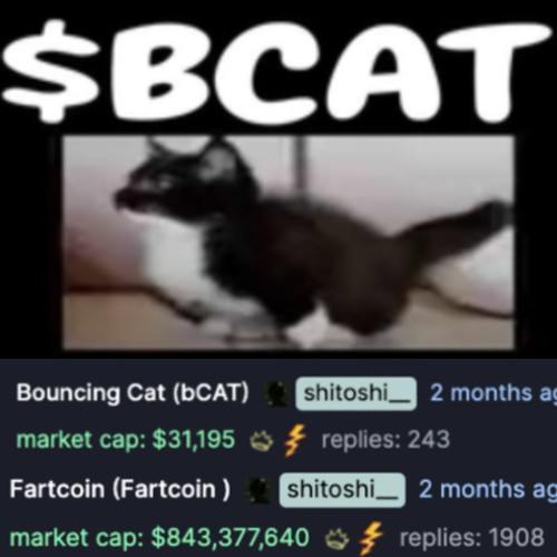 bcatbyshitoshi's tweet photo. @FartCoinOfSOL $Bcat is your new token - i am also from satoshi and i dont smell as hard as fartcoin https://t.co/Z6j0hWsDjS