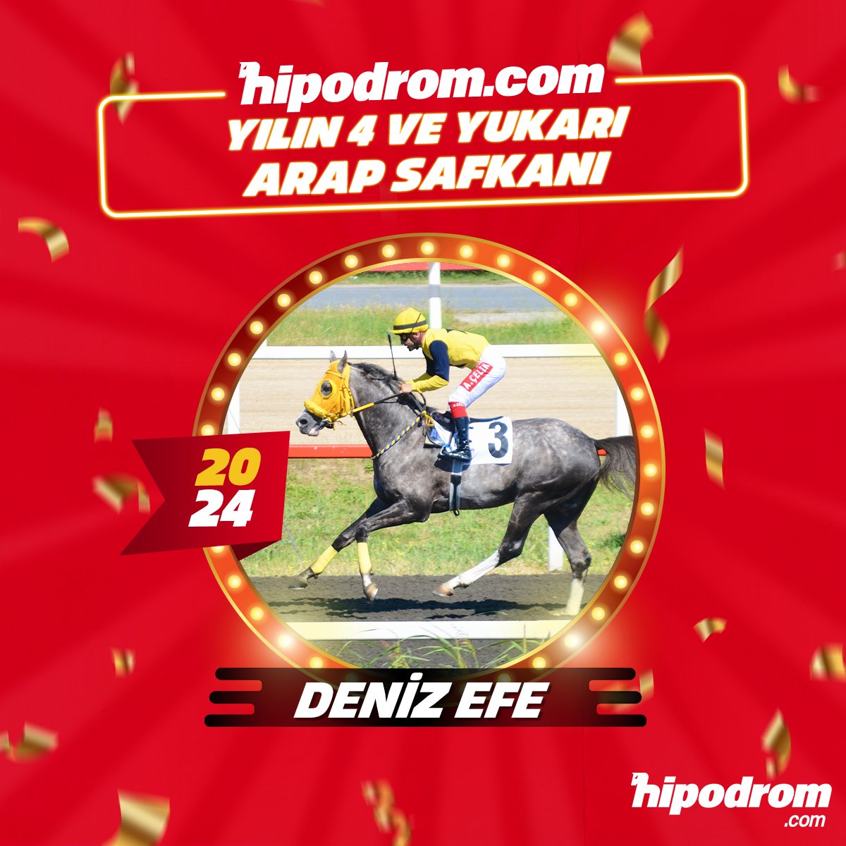 ✨🏆 🔴 2024 yılının en iyi iyi 4 ve yukarı Arap safkanı Deniz Efe oldu!

#HipodromcomİleEnİyisi