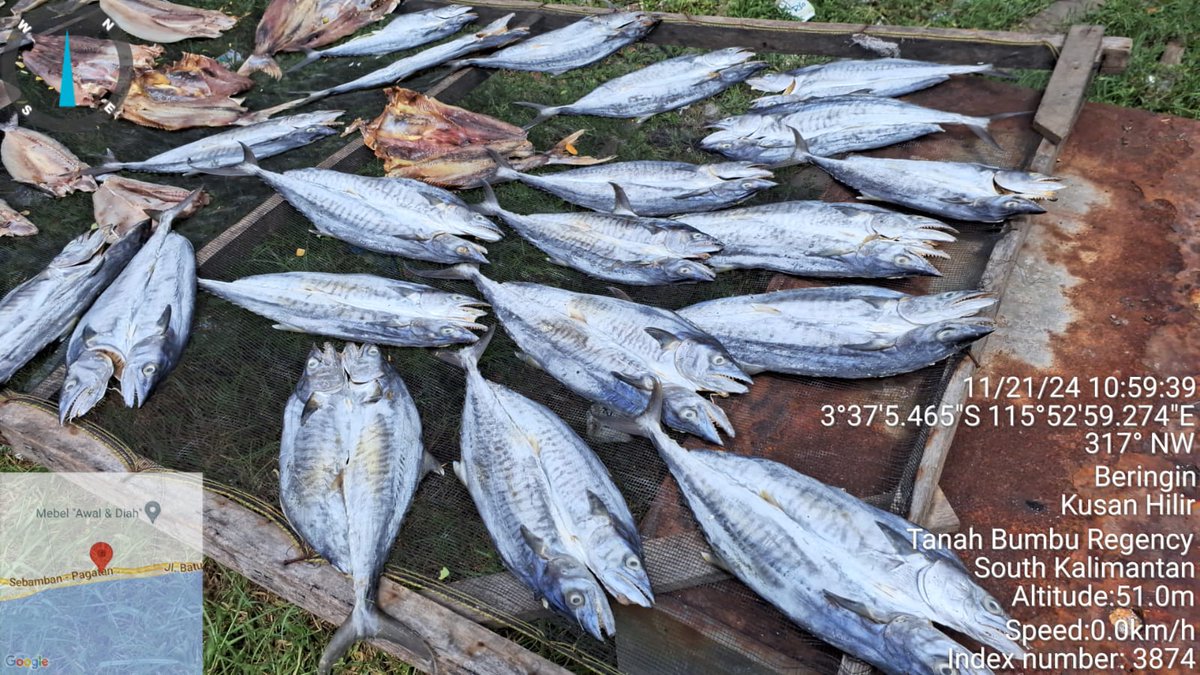 ekoprioraharjo's tweet photo. Kamis (21/11/2024)
Hasil olahan ikan kering tenggiri sebanyak 20 kg oleh Bu Sarpiah di Desa Beringin, harga jual Rp 120.000/kg  dengan  total nilai jual kotor Rp 480.000.
#GiatLuhkanSatminkalBWI 
#luhlapor 
#TanahBumbu 
@bppsdm_bp3bwi
@pusluh_bppsdm
@bppsdm_kp https://t.co/R3cC7Mg71C