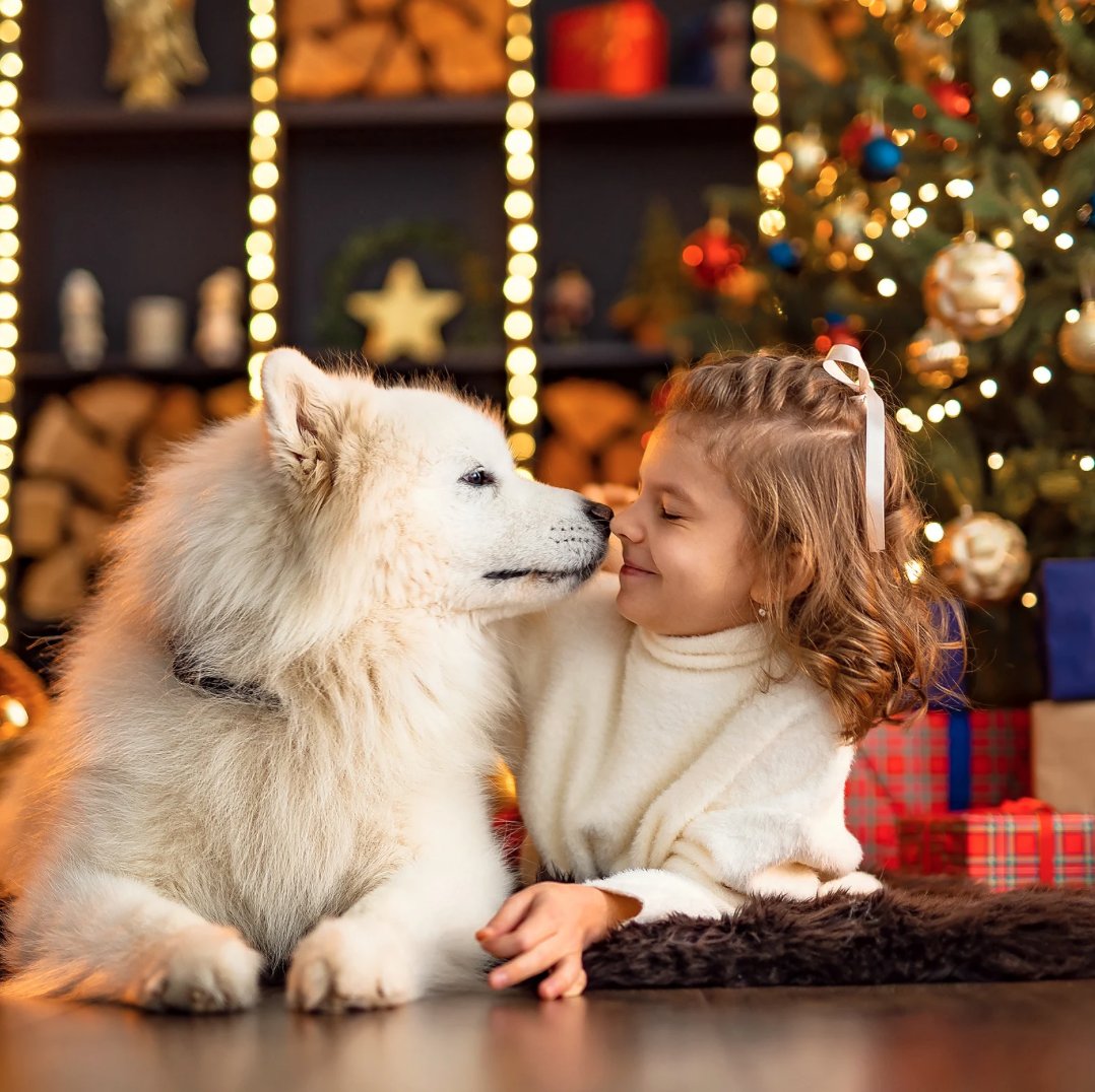 Estas fiestas, regálales a tus peludos el mejor cuidado. Con un seguro para mascotas, puedes estar tranquilo sabiendo que estarán protegidos en cualquier momento. ¡Feliz Navidad y un 2024 lleno de salud y bienestar para tus compañeros más leales! 🎄🐾
ayfcorreduria.com/seguros-para-p…
