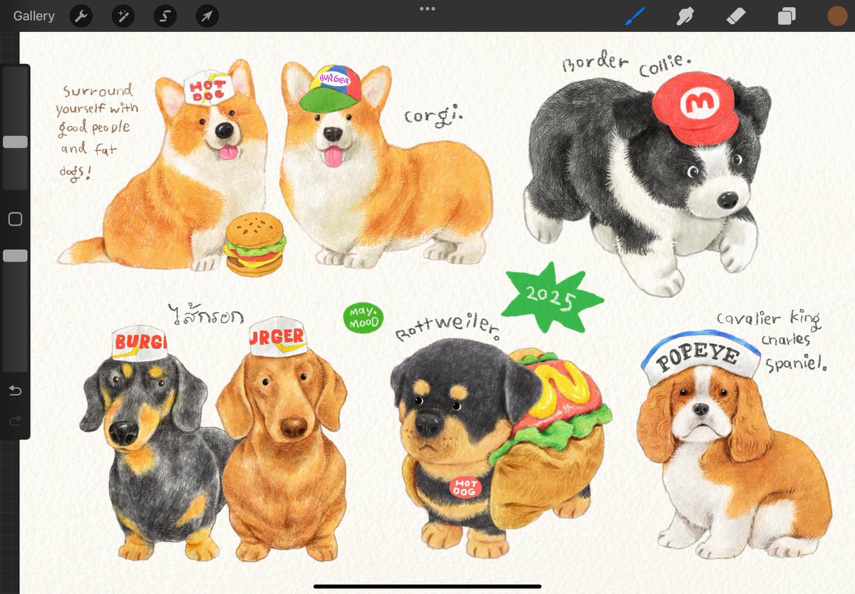 maym00d's tweet photo. Surround yourself with good people and fat dogs! 🐶💥 https://t.co/k03QiJkCVL