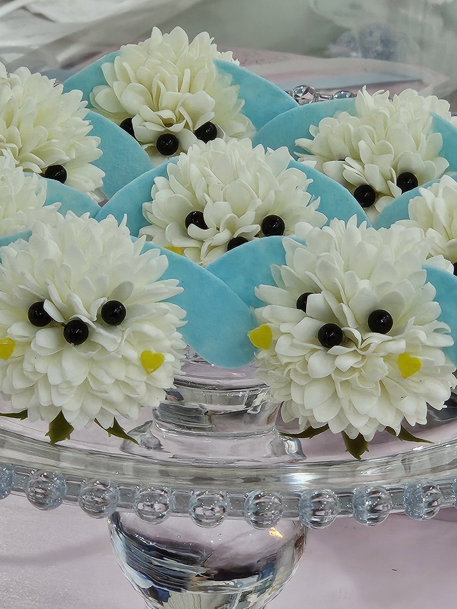 #한겨울_봄햇살을_품은_너에게 
#펭귄단이_세노에게_보내는_봄

세노 단장님 플라워카페 다녀왔습니다 🩵
플라워카페도 다녀와보고.. 복받은 펭귄
재밌었습니다!