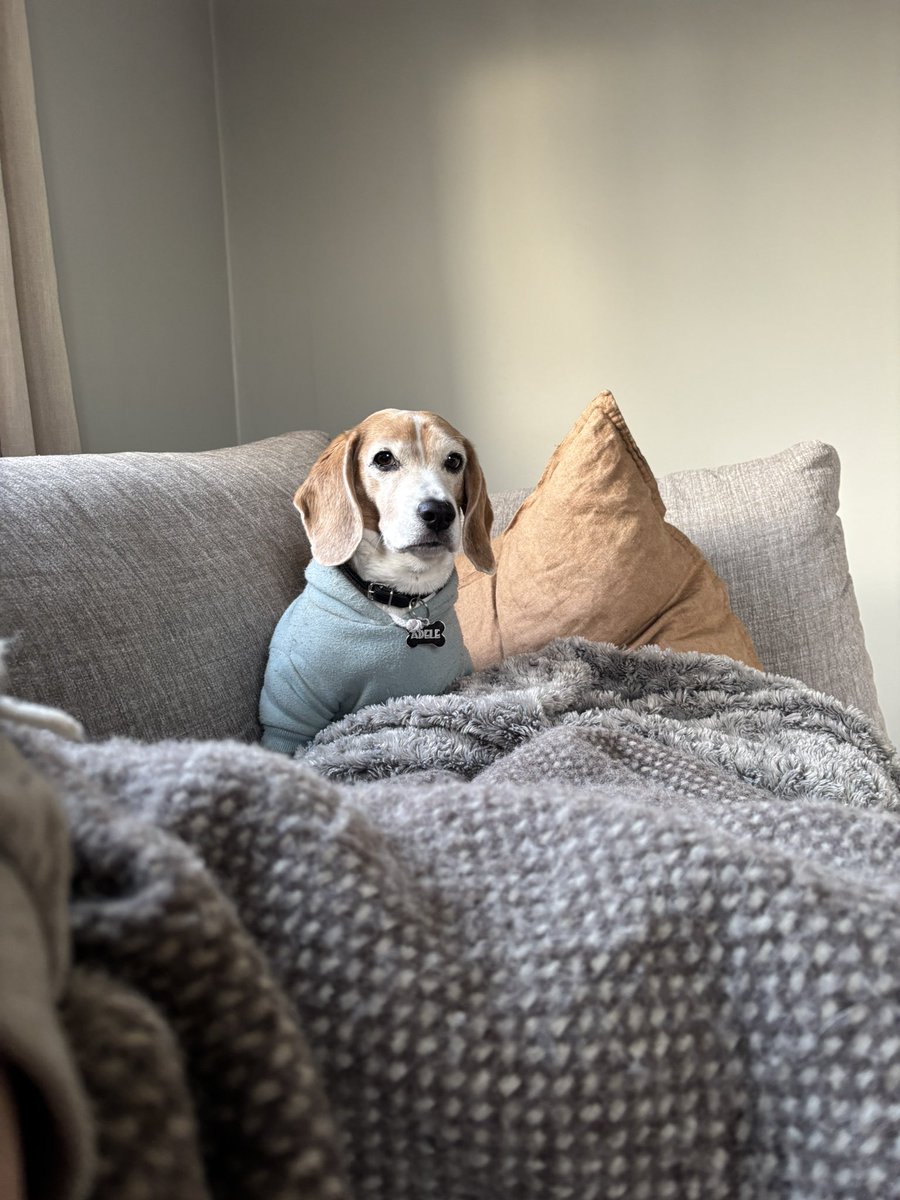 Got any games on your phone??