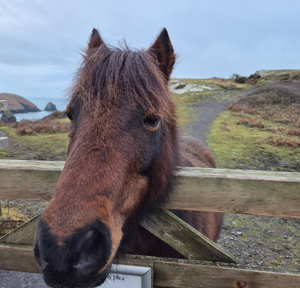 Phil 🇺🇦 tweet media